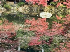 -醍醐寺