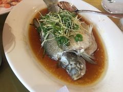 清蒸边鱼-大笑饭堂(甲子桥店)