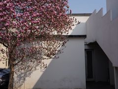 -一坐一忘云南菜(三里屯店)