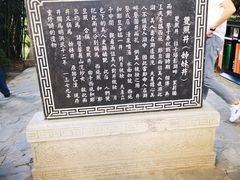 -定园