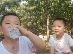 -燕郊植物园