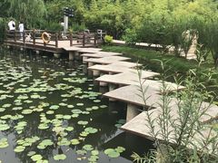 -白鹿原影视城