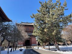 -善化寺