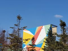 -莫子山公园