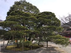 -醍醐寺