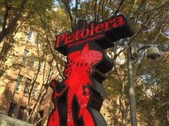 -Pistolera Mexican Cantina女枪手墨西哥餐厅(碧云路店)