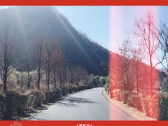 -三块石国家森林公园