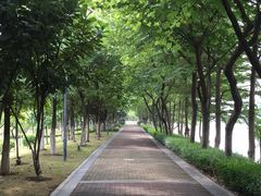 -怡海公园(桂城街道)