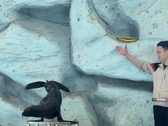 -泉州海丝野生动物世界