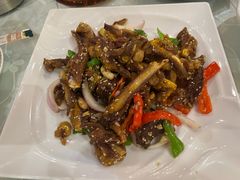 -喀什骑仕大观园