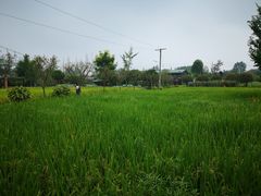 -洪湖家庭农场·团建·露营·会议