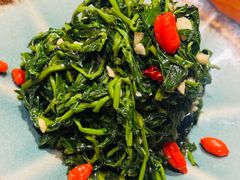 枸杞苗-金手鼓·新疆菜(南京店)