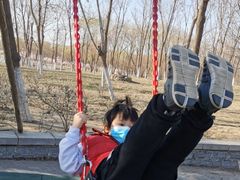 -大兴滨河森林公园