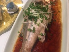 -眉州东坡(国贸店)