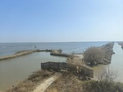 -盐城丹顶鹤湿地生态旅游区