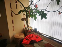 点击看大图 -阿南达·瑜伽普拉提·阿育吠陀疗愈中心