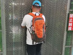 -西霞口神雕山野生动物世界