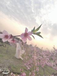 点击看大图 -青禾蒙娜丽莎婚纱摄影(武汉总店)