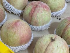 -老袁家蜜桃农场·阳山水蜜桃