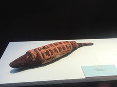 -浙江西湖美术馆