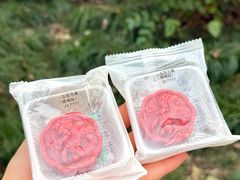 -南宋胡记(杭州灵隐寺店)