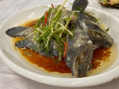 -众味海鲜大排档·活海鲜·潮汕味(南澳店)