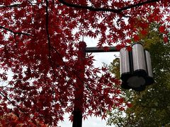 -岳麓山风景名胜区