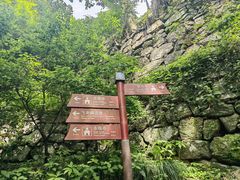 -灵隐飞来峰景区