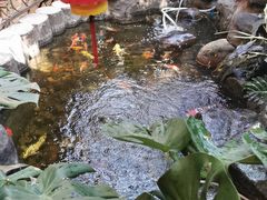 -汇景花园酒家(基立下道店)
