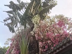 -深圳国际园林花卉博览园