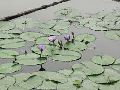 -喜士多便利店(杭州西湖华侨饭店店)