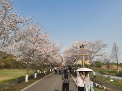 -长田漾湿地公园