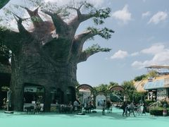 -苏州湾梦幻水世界