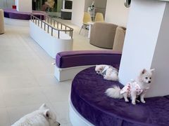 -怪兽屋·羊驼·猫咖·狗咖(俊华广场店)