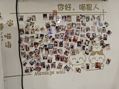 -楼上猫咖(罗湖店)