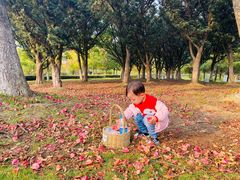 -白塘生态植物园