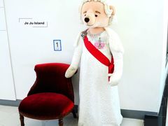 -济州岛泰迪熊博物馆