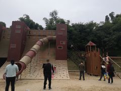 -枫香湖儿童公园