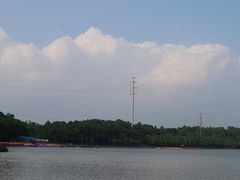 -上海海湾国家森林公园