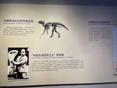 -重庆自然博物馆(新馆)