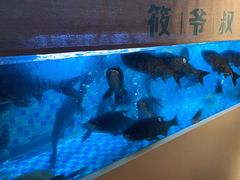 -筱爷叔·上海传统手工菜(玉树路店)