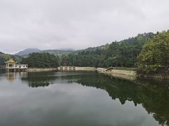 -庐山风景区花径公园