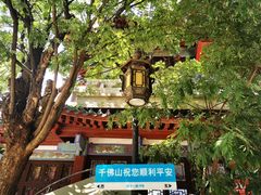 -千佛山风景名胜区