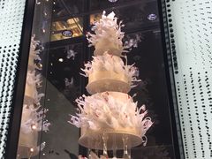 -BLACKSWAN黑天鹅(环球店)