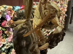 -领鲜活海鲜榴莲自助火锅(东门店)