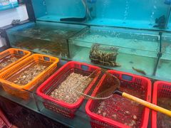 -惠来大排档(联创商业街店)