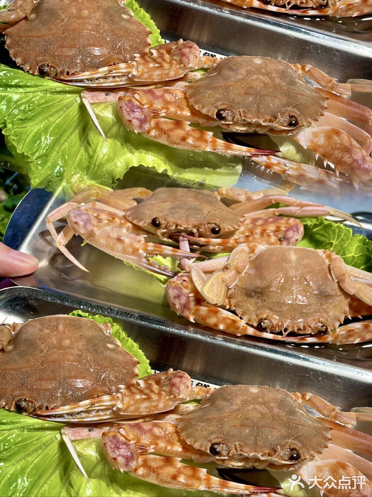 够鲜👍👍绵阳新开的现捞现煮的海鲜火锅！！