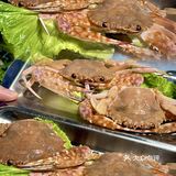 够鲜👍👍绵阳新开的现捞现煮的海鲜火锅！！