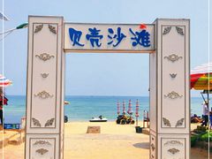 -贝壳沙滩