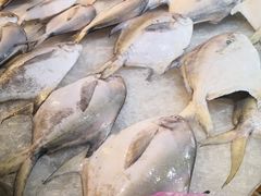 -东河市场